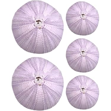 Amazon.co.jp 最新リリース: 観賞魚用品・アクアリウム の新着